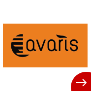 Avaris eBikes